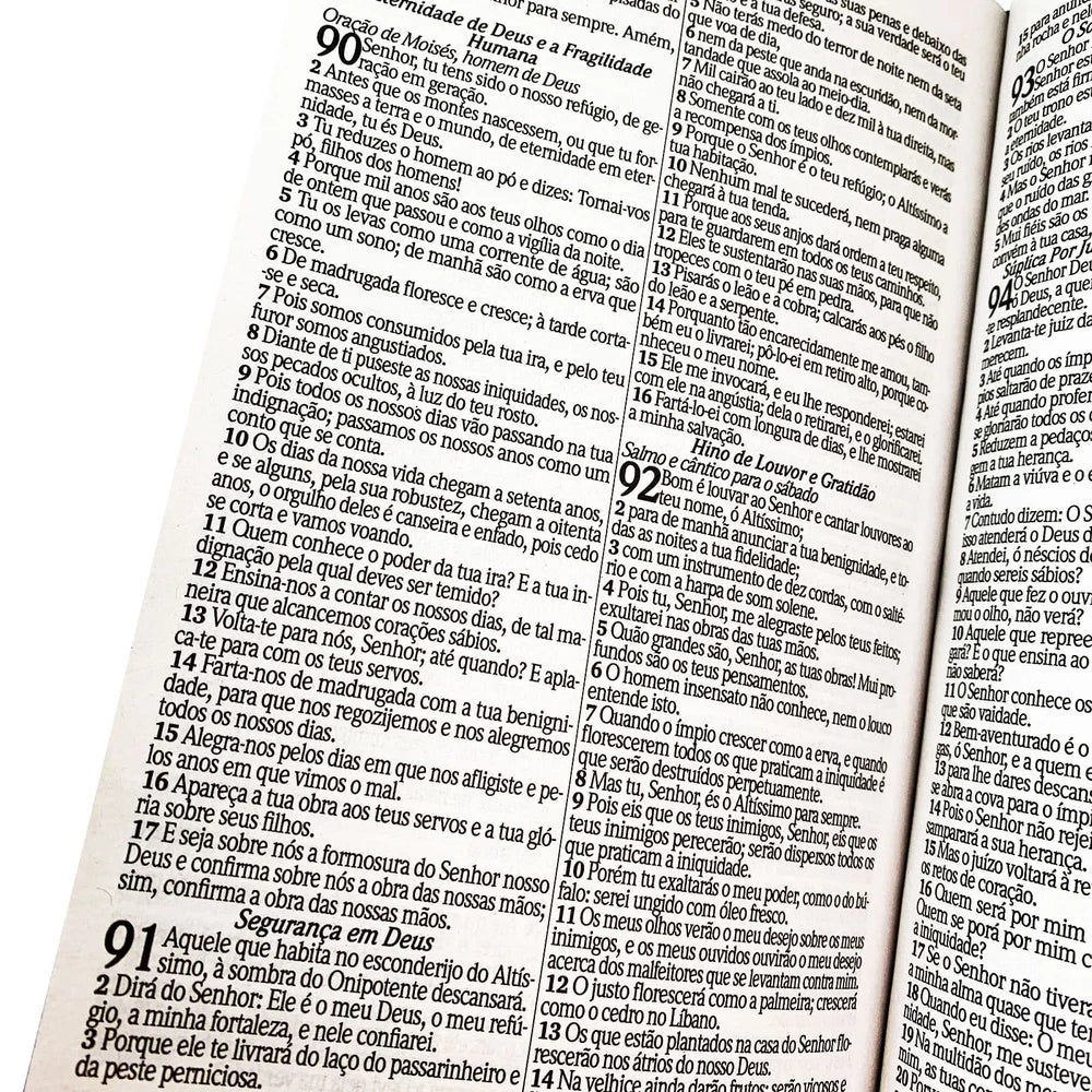 Bíblia Sagrada RC Econômica Letra Gigante Leão Rei dos Reis com Harpa e Corinhos