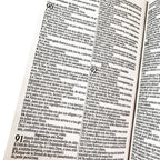 Bíblia Sagrada RC Econômica Letra Gigante Leão Rei dos Reis com Harpa e Corinhos